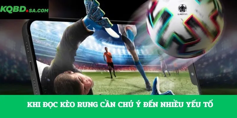Khi đọc kèo rung cần chú ý đến nhiều yếu tố